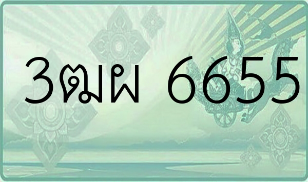 3ฒผ 6655